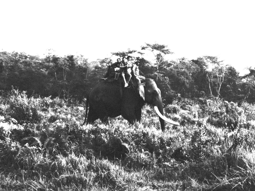 Elephant ride Chitwan