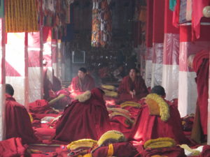 Monks at Drepung Monastery